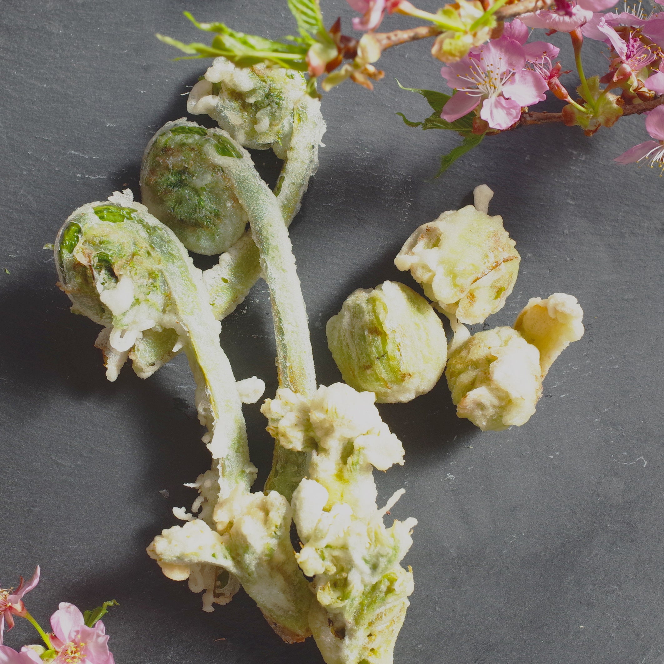 食コラム BY KOBALT 「木の芽時を味わう」