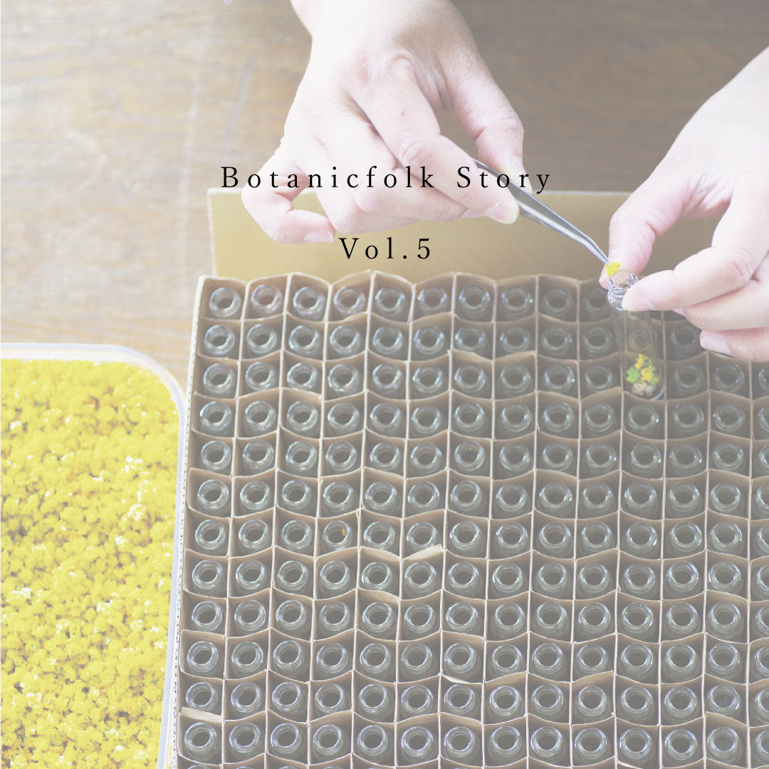 Botanicfolk Story Vol.5 【Made in Japan】