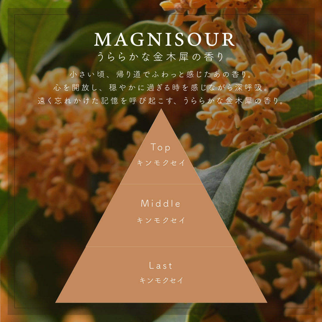 マルチオイル美容液30ml <br>MAGNISOUR / マニスール