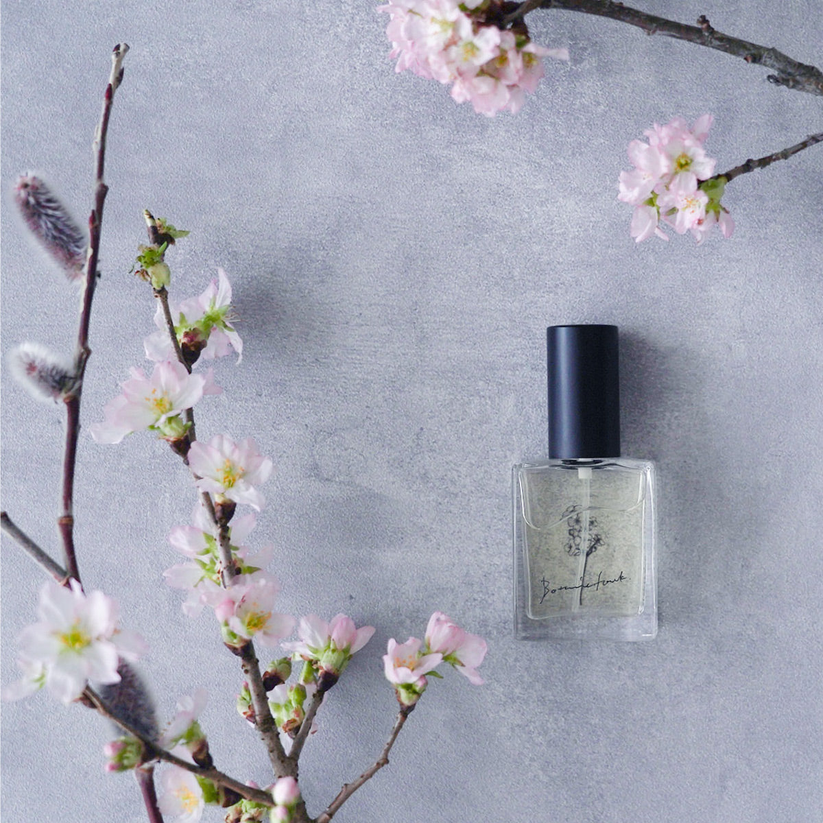 フレグランス エビエール 15ml <br>SAKURA VERT / サクラヴァート