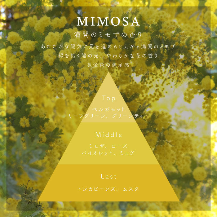 ネイルオイル <br>MIMOSA / ミモザ