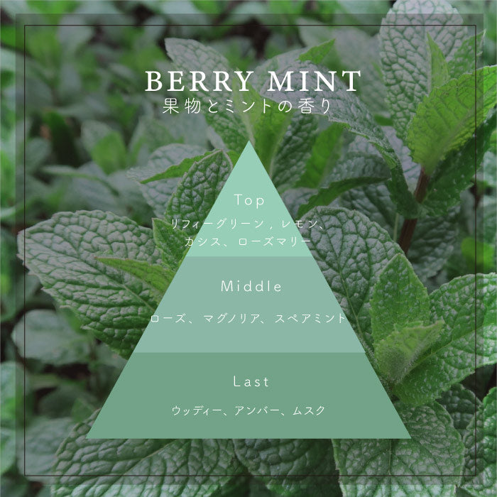 トラベルティンキャンドル <br>BERRY MINT / ベリーミント