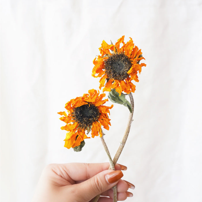 Sunflower Bottle <br>/ ひまわりボトル