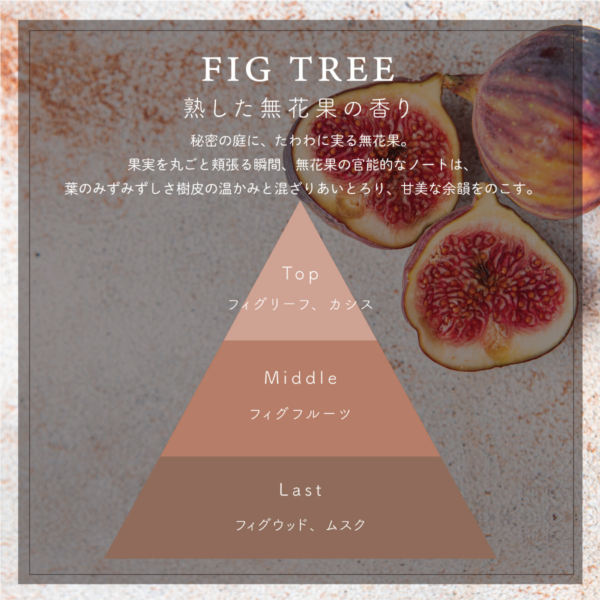 ファブリックスプレー <br>FIG TREE / フィグツリー