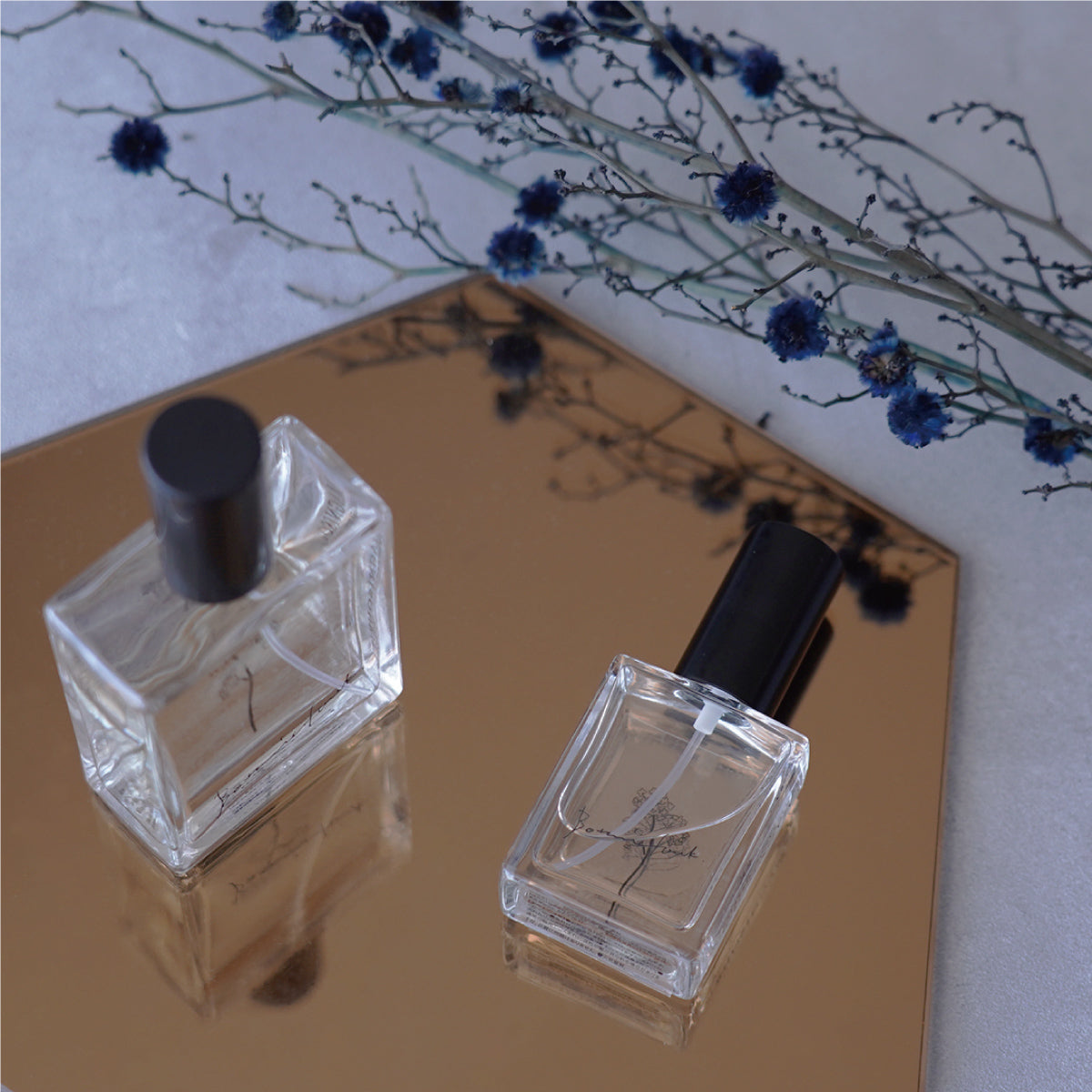 フレグランス エビエール 50ml <br>MAGNISOUR / マニスール