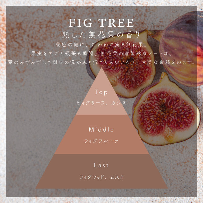 トラベルティンキャンドル <br>FIG TREE / フィグツリー