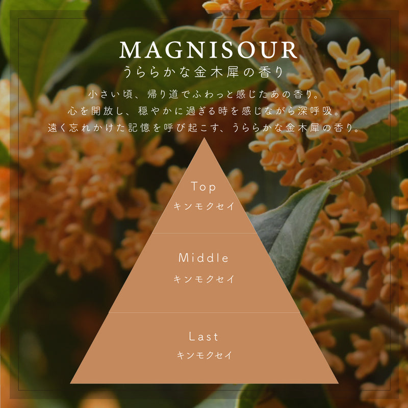 トラベルティンキャンドル MAGNISOUR / マニスール