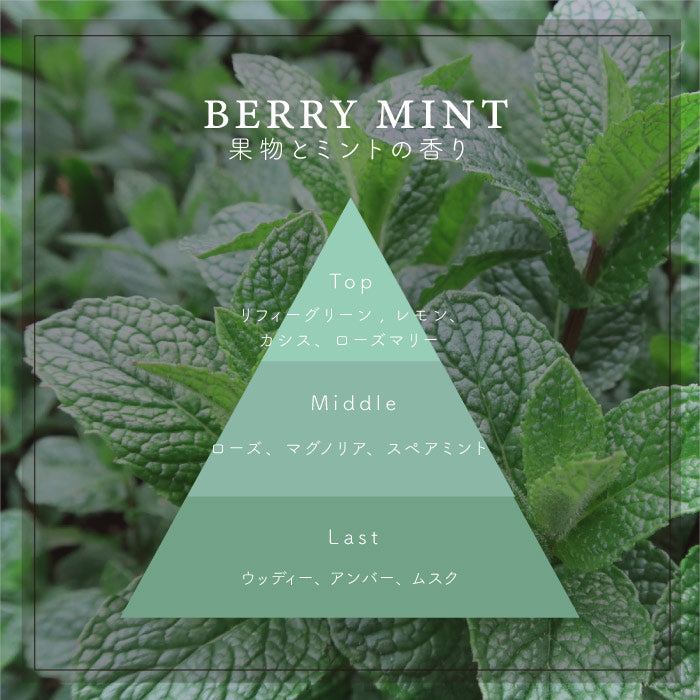 トラベルティンキャンドル BERRY MINT / ベリーミント