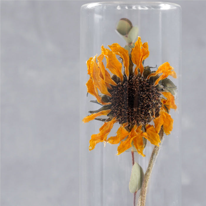 Sunflower Bottle / ひまわりボトル