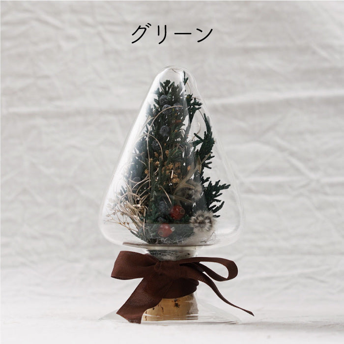 クリスマスボトルツリー｜- Noix de Noël -｜Botanicfolk