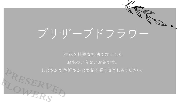 X'mas Glass Tree / クリスマスガラスツリー