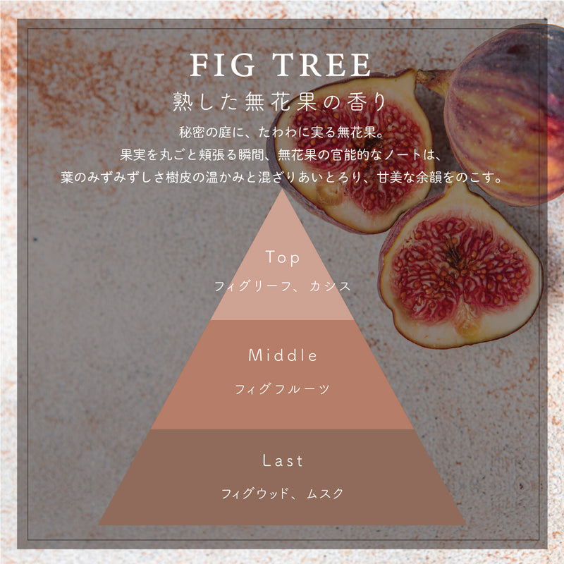 フレグランス エビエール 15ml FIG TREE / フィグツリー